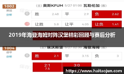 2019年海登海姆对阵汉堡精彩回顾与赛后分析